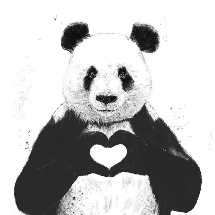 世界上最可爱的熊猫-背后也有粉圈大战-1588751192.webp